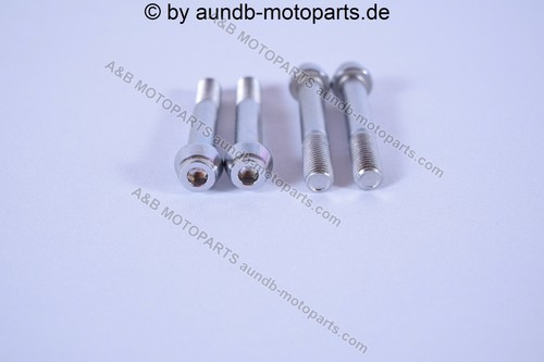 Viti pinza freno gsxr 600 - freno, 600/750
